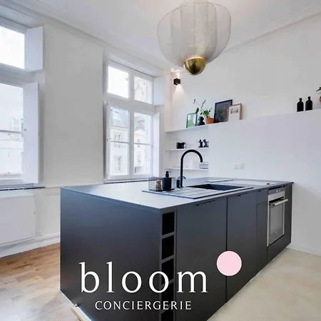 Apartamento Le Saint Georges De Standing Nancy