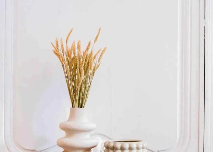 Appartement Le Saint Georges De Standing Nancy